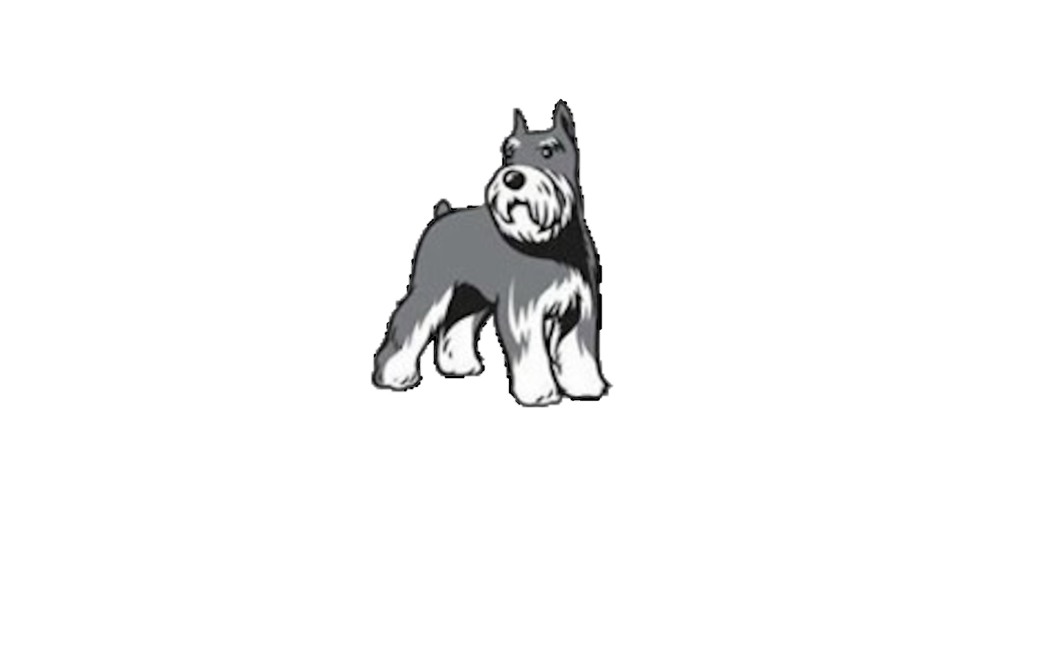 akc-color-codes-miniature-schnauzers